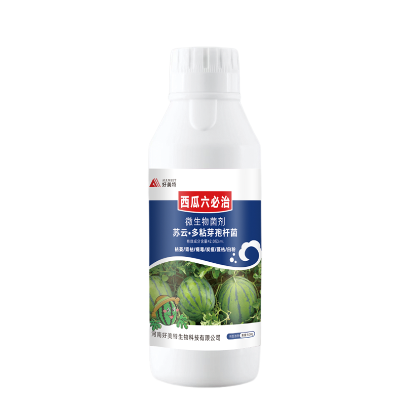 西瓜六必治500g